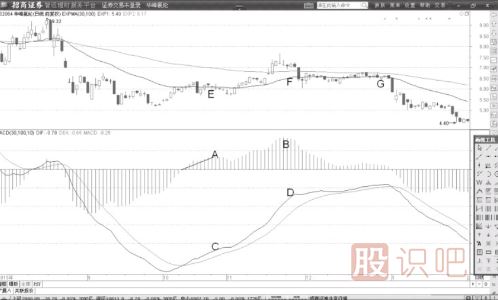 MACD指標(biāo)中的柱子是怎么看的？