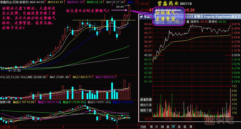 黑馬親子鑒定K線圖解